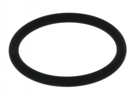 Кругла прокладка DT 5.45402 (фото 1)