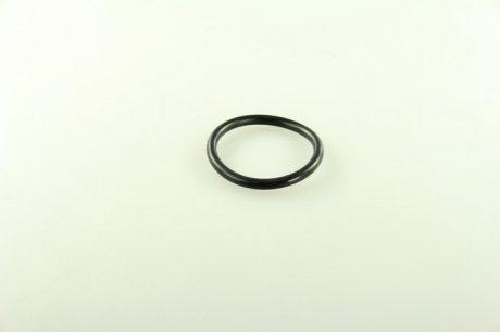 Кругла прокладка DT 6.30068 (фото 1)