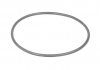 Кругла прокладка DT 6.89204 (фото 1)