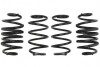 Комплект ходовой части, пружины E10-25-022-01-22
