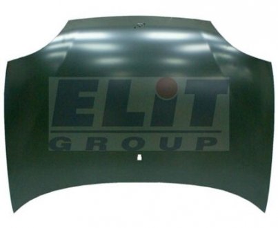 Автозапчасть ELIT 2031280 (фото 1)