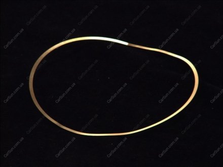 Кольцо уплотнительное гильзы цилиндра ELRING 703.214 (фото 1)