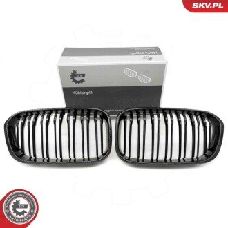 Grill BMW podwójna listwa, kolor carbon, BMW 1 F20 ESEN SKV 66SKV019