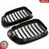 Grill BMW pojedyncza listwa, czarny mat, BMW 3 E46 Coupe ESEN SKV 66SKV058 (фото 5)