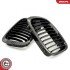 Grill BMW pojedyncza listwa, kolor carbon, BMW 3 E46 ESEN SKV 66SKV065 (фото 5)