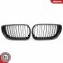 Grill BMW komplet L+P, kolor carbon, BMW 3 E46 Facelift ESEN SKV 66SKV080 (фото 3)