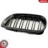 Grill BMW podwójna listwa, kolor carbon, BMW 3 E46 Facelift ESEN SKV 66SKV084 (фото 7)