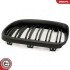 Grill BMW podwójna listwa, czarny mat, BMW 3 E92 Facelift Coupe ESEN SKV 66SKV117 (фото 8)