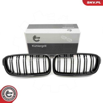 Grill BMW podwójna listwa, kolor carbon, BMW 3 F30 ESEN SKV 66SKV127