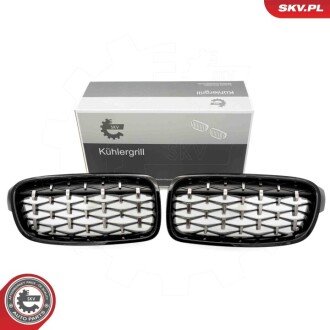 Grill BMW diament, czarny połysk, srebrny, BMW 3 F30 ESEN SKV 66SKV129