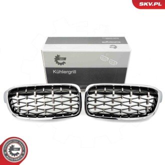 Grill BMW diament, srebrny, BMW 3 F30 ESEN SKV 66SKV130