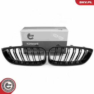 Grill BMW komplet L+P, podwójna listwa, kolor carbon, BMW 3 F34 ESEN SKV 66SKV135