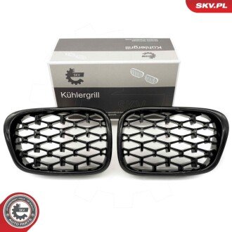 Grill BMW diament, czarny połysk, BMW 5 E39 ESEN SKV 66SKV164