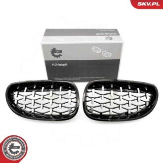 Grill BMW diament, czarny połysk, srebrny, BMW 5 E60 ESEN SKV 66SKV175