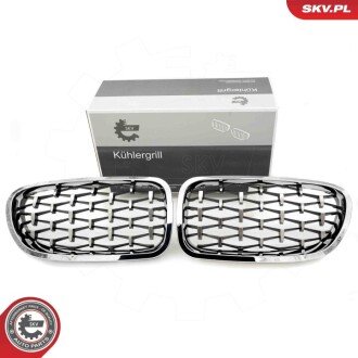 Grill BMW diament, srebrny, BMW 5 F10 ESEN SKV 66SKV192