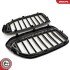 Grill BMW pojedyncza listwa, czarny mat, BMW 5 G30 ESEN SKV 66SKV199 (фото 5)