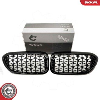 Grill BMW diament, czarny połysk, BMW 5 G30 ESEN SKV 66SKV200