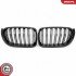 Grill BMW komplet L+P, kolor carbon, BMW X3 F25 Facelift ESEN SKV 66SKV259 (фото 2)