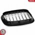 Grill BMW komplet L+P, pojedyncza listwa, kolor carbon, BMW X5 E53 ESEN SKV 66SKV274 (фото 10)