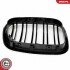 Grill BMW komplet L+P, podwójna listwa, kolor carbon, BMW X5 E53 ESEN SKV 66SKV275 (фото 9)