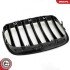 Grill BMW pojedyncza listwa, czarny mat, BMW X5 E70 ESEN SKV 66SKV284 (фото 6)