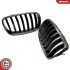 Grill BMW pojedyncza listwa, kolor carbon, BMW X5 E70 ESEN SKV 66SKV286 (фото 3)