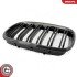 Grill BMW podwójna listwa, kolor carbon, BMW X5 E70 ESEN SKV 66SKV290 (фото 8)