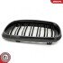 Grill BMW podwójna listwa, kolor carbon, BMW X5 F15 ESEN SKV 66SKV299 (фото 8)