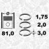 Комплект кілець на поршень R1009100