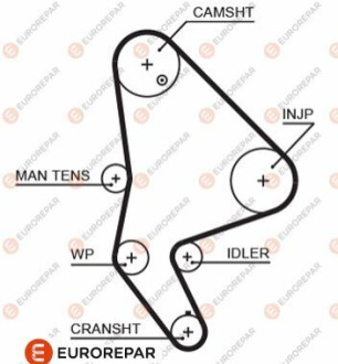 Timing belt Eurorepar 1633126480 (фото 1)