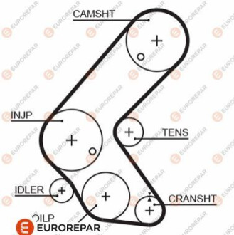 РЕМІНЬ ГРМ Eurorepar 1633131380