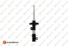 Shock absorber Eurorepar 1635532980 (фото 1)