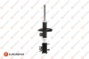 Shock absorber Eurorepar 1635541780 (фото 1)