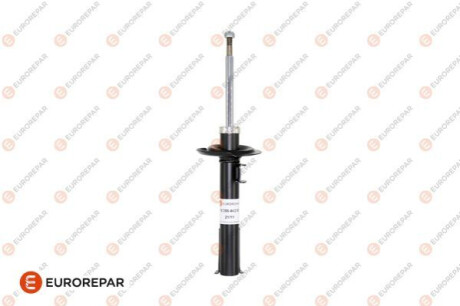 Shock absorber Eurorepar 1635544280