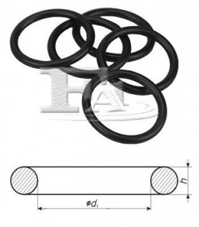 Кольцо резиновое FA1 004.110.100 (фото 1)