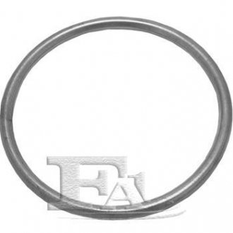 Уплотнительное кольцо, труба выхлопного газа FA1 751-951 (фото 1)