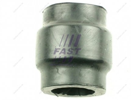 Втулка заднього стабілізатора Iveco Daily 86- FAST FT18144 (фото 1)