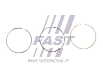 Автозапчасть FAST FT47393/0