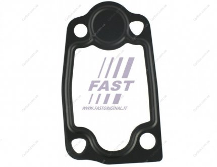 Прокладка термостата Citroen/Fiat/Peugeot 3.0 Hdi 06- FAST FT49903