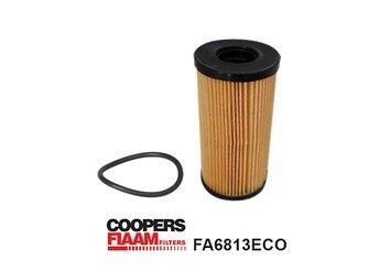 Filtr oleju Fiaam FA6813ECO