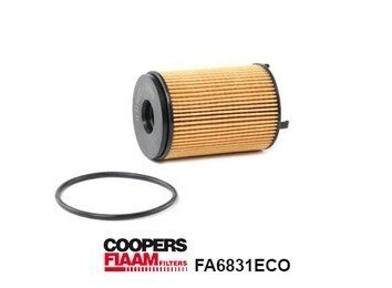 Filtr oleju Fiaam FA6831ECO