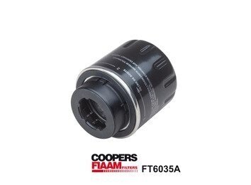 Filtr oleju Fiaam FT6035A