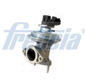 Автозапчасть FRECCIA EGR12-184