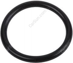 O-RING GM 55570238