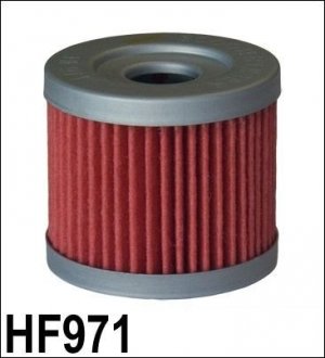 Фільтр масляний HIFLO HF971 (фото 1)