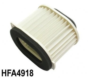 Фильтр воздушный HIFLO HFA4918 (фото 1)