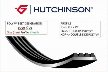 Ремінь генератора (поліклиновий) HUTCHINSON 813 K 3