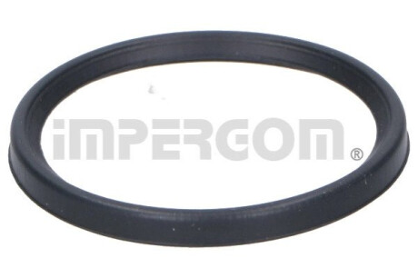 Oring intercoolera RENAULT MEGANE/TALISMAN IMPERGOM 20294