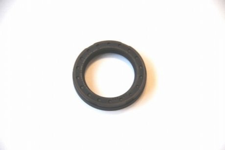 Уплотняющее кольцо сапуна (33x45x7) IVECO 504050244 (фото 1)