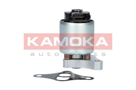 ZAWOR EGR KAMOKA 19002